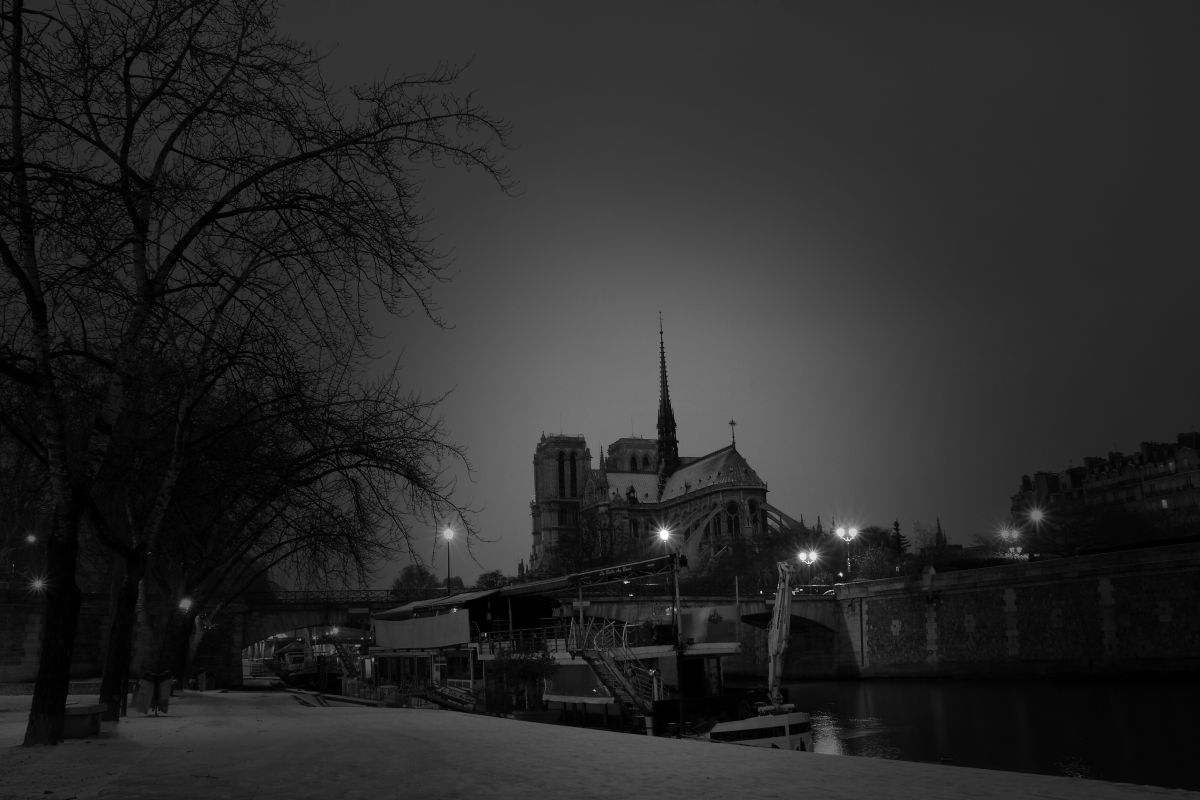 La belle sous la neige